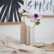 Pasta Fimo Effect 57gr - Effetto girasole botanico (n°170)