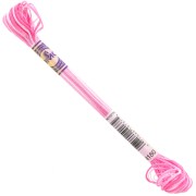 Filo da ricamo DMC Mouliné Color Variations - Rosa confetto (4180) x8m|raw }}