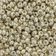 Rocaille Miyuki Duracoat 8/0 4201 - Argento galvanizzato x 100 g