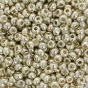 Rocaille Miyuki Duracoat 8/0 4201 - Argento galvanizzato x 100 g