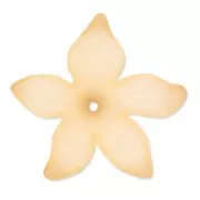 Fiori 27 mm Peach Frosted