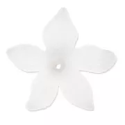 Fiore 27 mm Crystal Frosted