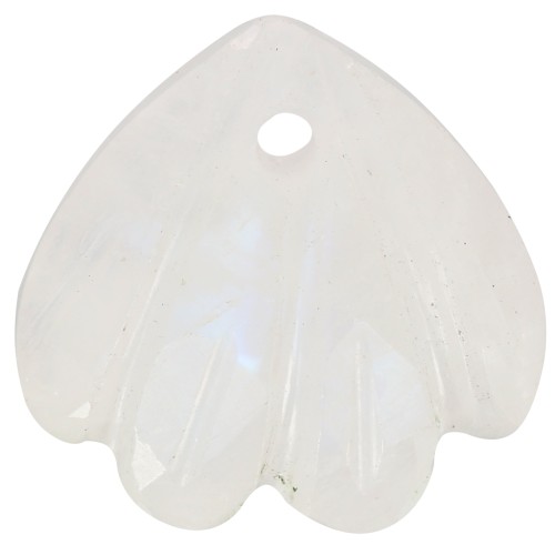 Zecchino conchiglia 12 mm - Pietra di luna x1