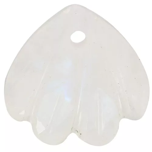 Zecchino conchiglia 12 mm - Pietra di luna x1