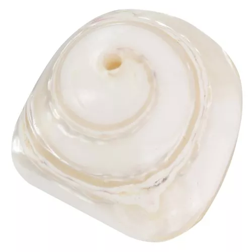 Perle conchiglia conica 10x14 mm - Naturale x4