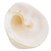 Perle conchiglia conica 10x14 mm - Naturale x4