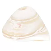 Perle conchiglia conica 10x14 mm - Naturale x4