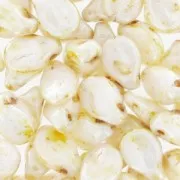 Pip 5x7 mm Ivory Ceramic Look x50