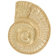 Pendente conchiglia 27x22 mm - Acciaio inossidabile 304L dorato x1