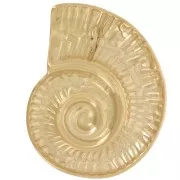 Pendente conchiglia 27x22 mm - Acciaio inossidabile 304L dorato x1