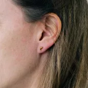 Orecchini a forma di delfino 4x9 mm - Acciaio inossidabile 316L dorato x2