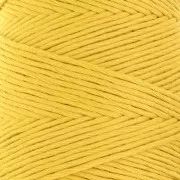 Bobina di corda cotone macramè Organic Cotton Detox XL - Pistacchio x200m