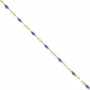 Catena con resina epossidica da 2mm -Acciaio inossidabile 304 Gold - Blu reale x1m
