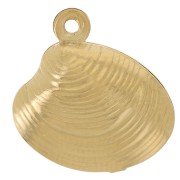 Ciondolo conchiglia 14x13 mm - Acciaio inossidabile 303L dorato x1|raw }}