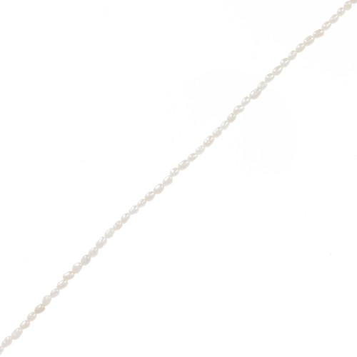 Perle d'acqua dolce a grana di riso - 3x2 mm - Grado AA Bianco x40cm