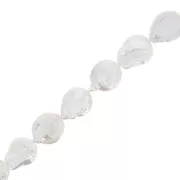 Perla irregolare d'acqua dolce - Paletta rotonda 21 mm - Grado AA+ Bianco x1