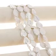 Perla irregolare d'acqua dolce - Paletta rotonda 21 mm - Grado AA+ Bianco x1