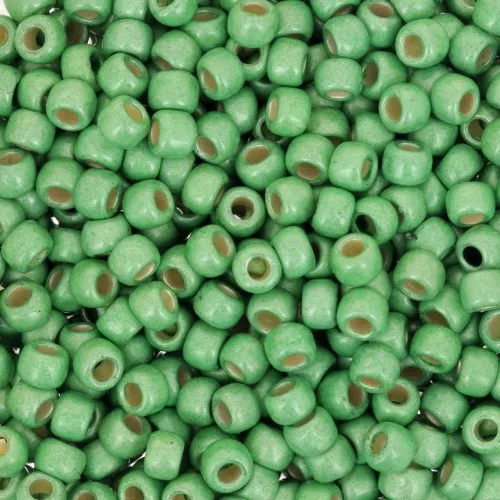 Rocaille Toho 8/0 TO8RPF587F - PF Green Apple Mat Galvanized x8g