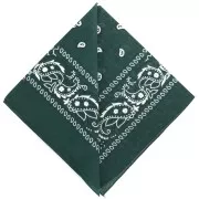 Verde - Bandana 100% coton - motif Cachemire - Vert sapin x1 Bandana 100% coton - motif Cachemire - Vert sapin x1