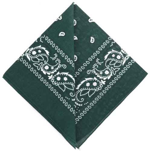 Bandana 100% cotone - Motivo cashmere - Verde abete x1