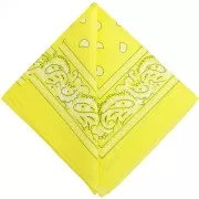 Giallo - Bandana 100% coton - motif Cachemire - Jaune citron x1 Bandana 100% coton - motif Cachemire - Jaune citron x1