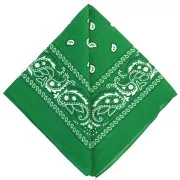 Verde - Bandana 100% cotone - Cashmere - Verde scuro x1 Bandana 100% cotone - Cashmere - Verde scuro x1