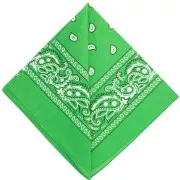 Verde - Bandana 100% coton - motif Cachemire - Vert pomme x1 Bandana 100% coton - motif Cachemire - Vert pomme x1