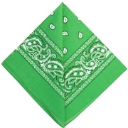 Bandana 100% cotone - motivo Cachemire - Verde x1