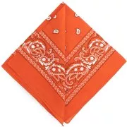 Arancione - Bandana 100% cotone - Cashmere - Arancione x1 Bandana 100% cotone - Cashmere - Arancione x1