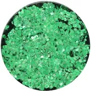 Brillantini biodegradabile - Grande - Verde x10g