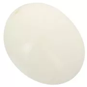 Perle - Perle olive en résine opaque 24x19 mm - Ecru x1 Perle olive en résine opaque 24x19 mm - Ecru x1