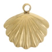 Ciondolo a conchiglia da 10 mm con imitazione della Perla di madreperla - Acciaio inossidabile Dorato 304L x1
