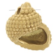 Ciondolo a conchiglia 14x12 mm - Acciaio inox 304L Dorato x1