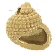 Ciondolo a conchiglia 14x12 mm - Acciaio inox 304L Dorato x1