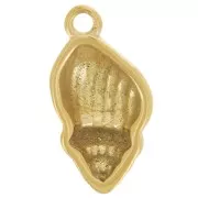 Ciondolo a conchiglia curva 17x9 mm - acciaio inossidabile 304L Dorato x1