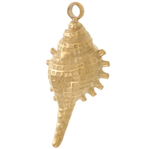 Ciondolo conchiglia 20x9 mm - Acciaio inossidabile 304L Dorato x1