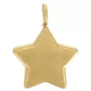 Ciondolo a stella 11x8,5 mm con ossidi di zirconio - Acciaio inossidabile 304L Dorato x1
