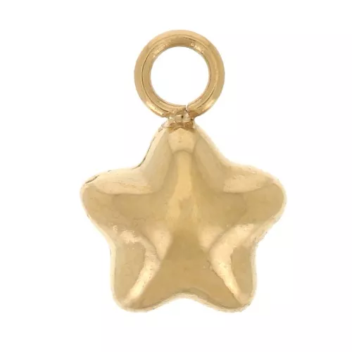 Ciondolo a stella da 5,5 mm - Acciaio inossidabile 304L Dorato x1