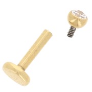 Piercing rotondo orecchio 2,5 mm in ossido di zirconio - acciaio inossidabile 316 Dorato x1