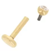 Piercing rotondo orecchio 2,5 mm in ossido di zirconio - acciaio inossidabile 316 Dorato x1