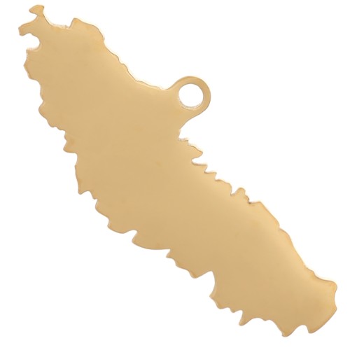 Pendente Nuova Caledonia 8x20 mm - Acciaio inossidabile 304L Dorato x1