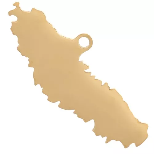 Pendente Nuova Caledonia 8x20 mm - Acciaio inossidabile 304L Dorato x1
