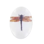 Cabochon mm. 18x13 Libellula x1