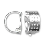 Clips ad anello retina argentato x2|raw }}