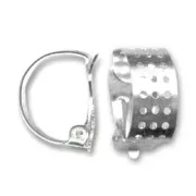 Clips ad anello retina argentato x2