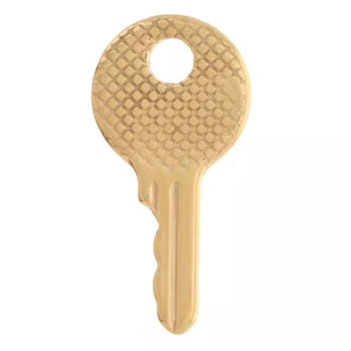 Pendente a forma di chiave rotonda 25x12,5 mm - Acciaio inossidabile 304L Dorato x1