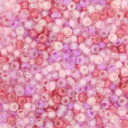 Mix di rocailles Miyuki 11/0 - Suikerspin x8g