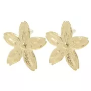 - Orecchini con fiori di ciliegio 31x33 mm - Acciaio inossidabile 304L Dorato x2 Orecchini con fiori di ciliegio 31x33 mm - Acciaio inossidabile 304L Dorato x2