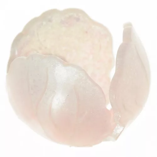 Perlina fiore acrilica 14 mm - Rosa cipria x1
