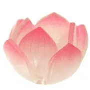 Perla fiore di loto 12x21 mm in acrilico - Rosa scuro - Rosa chiaro x1